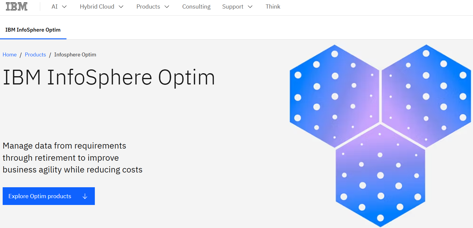 IBM InfoSphere Optim Homepage
