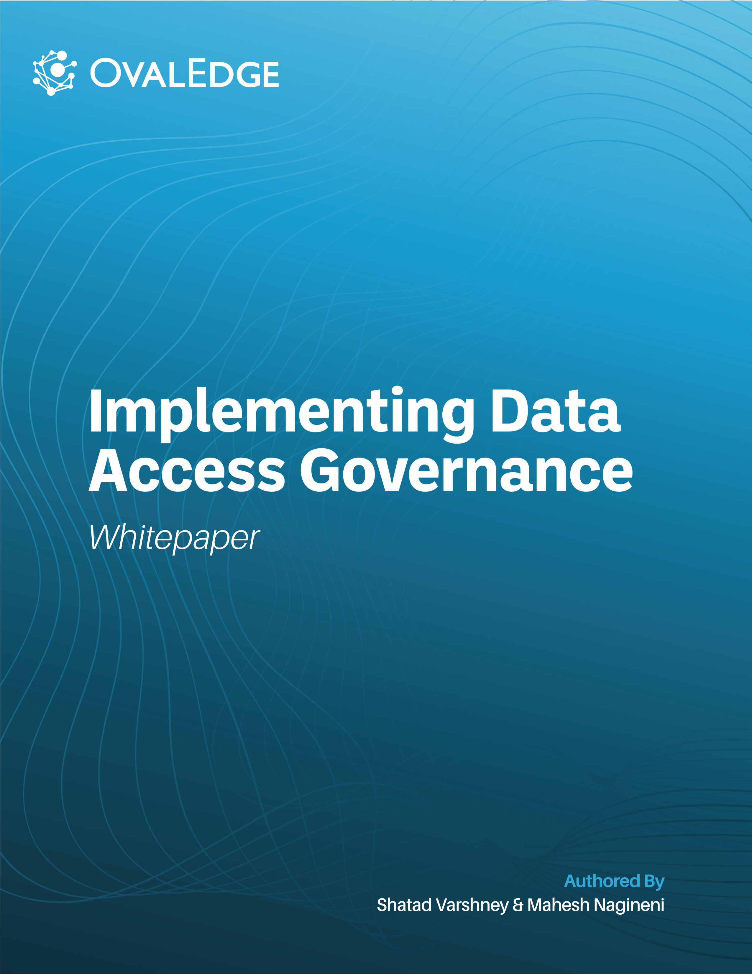 Implementing Data Access Governance Cover