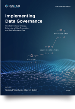 whitepaper_implementing-data-governance1